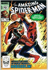 Amazing Spider Man #250 (1963) - 9.4 NM *Awesome Hobgoblin Cover* 
