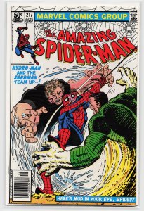 The Amazing Spider-Man #217 (1981) Spider-Man