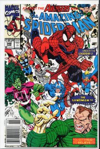 The Amazing Spider-Man #348 (1991) Spider-Man