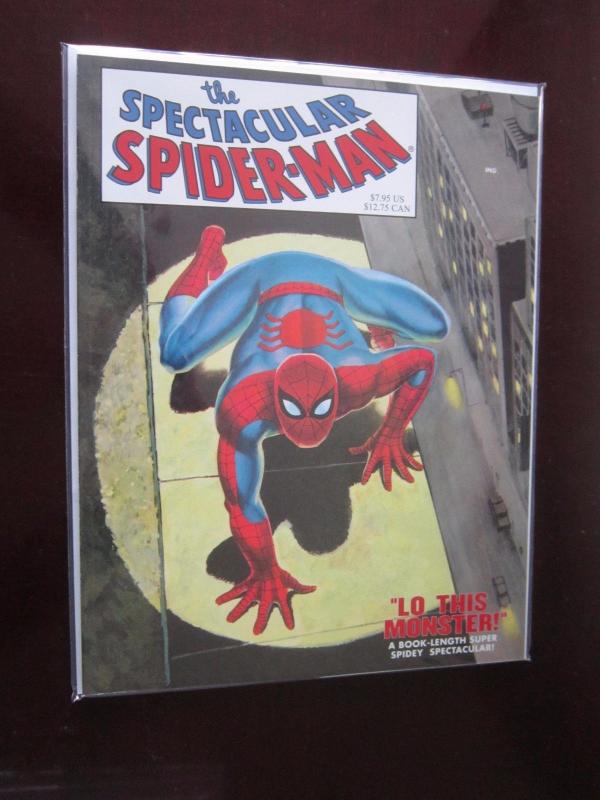 4 different SpiderMan books - GN Graphic Novel - see pictures