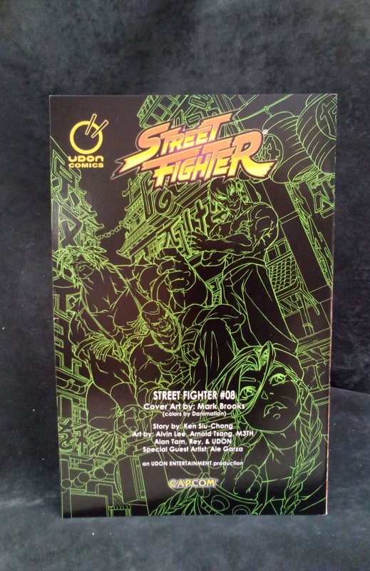 Street Fighter #8 (2004)