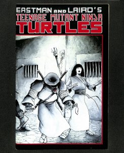 Teenage Mutant Ninja Turtles #17