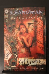 The Sandman #17 (1990)