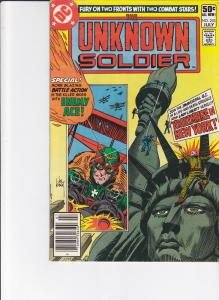 Unknown Soldier #253