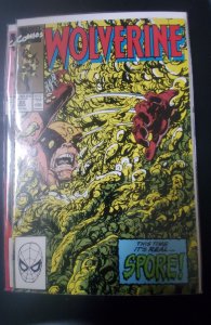 Wolverine #22 (1990)