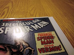 The Spectacular Spider-Man #179 (1991)