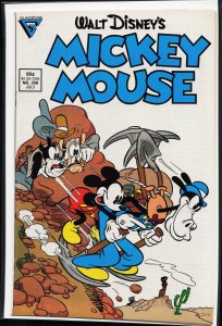 Mickey Mouse #238 (1988)