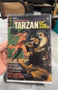 Edgar Rice Burroughs' Tarzan #201 (1971)  