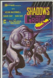 Shadows from the Grave #1 ORIGINAL Vintage 1988 Renegade Comics