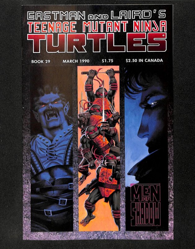 Teenage Mutant Ninja Turtles #29