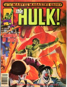 HULK #22 23 24 25 Magazine, VF+, Lou Ferrigno, Gene Colan, Howard Chaykin