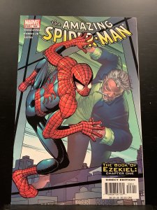 The Amazing Spider-Man #506 (2004)
