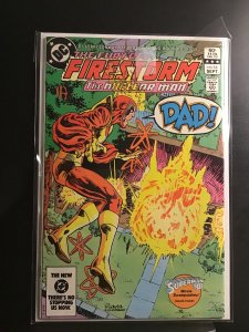 The Fury of Firestorm #16 (1983)