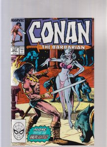 Conan The Barbarian #227 - Direct Edition (6.5/7.0) 1989