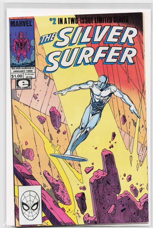 The Silver Surfer #2 (1989) Silver Surfer