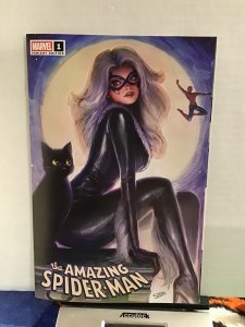 The Amazing Spider-Man #1 Nathan Szerdy Cvr