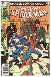 Amazing Spider-Man #202 Punisher appearance!