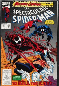 The Spectacular Spider-Man #201 (1993) Spider-Man