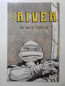 Teenage Mutant Ninja Turtles #24 (1989) VF Condition!