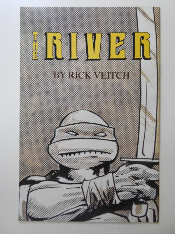 Teenage Mutant Ninja Turtles #24 (1989) VF Condition!