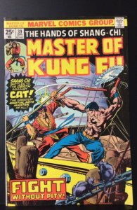 Master of Kung Fu #39 (1976)