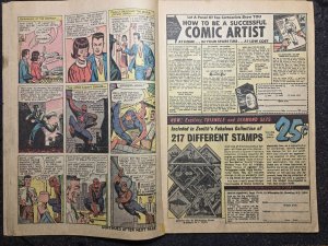 The Amazing Spider-Man #20 (1965)