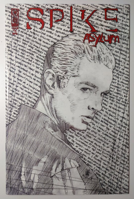 Spike Asylum #5 (9.4, 2007) Sketch Variant