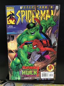 Peter Parker: Spider-Man #14 (2000)nm