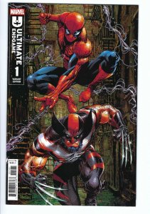 ULTIMATE ENDGAME #1 (2025) 9.4 GRADABLE DAN PANOSIAN TRADE VARIANT COVER