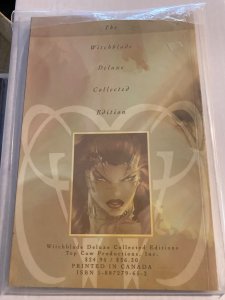 Witchblade Deluxe Collected Edition