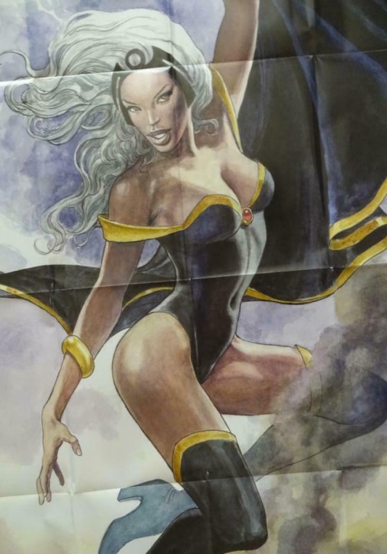 STORM Promo Poster, 24 x 36, 2013, MARVEL X-MEN, Unused more in our store 306