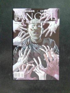 Angel After the Fall #8  IDW Comics 2008 NM