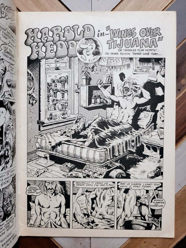 Harold Hedd #2 (1973) 1st Print Last Gasp Rand Holmes Story, Art Underground 5.0