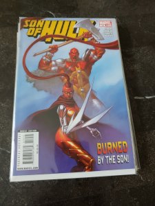 Son of Hulk #14 (2009)