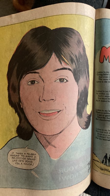 Partridge Family #7 (1972)