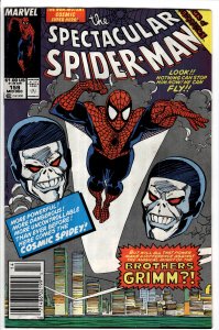 The Spectacular Spider-Man #159 Newsstand Edition (1989) Spider-Man