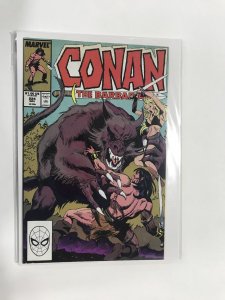 Conan the Barbarian #224 (1989) Conan FN3B221 FINE FN 6.0