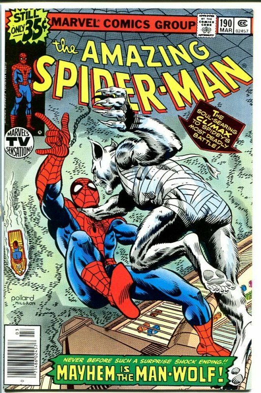 AMAZING SPIDER-MAN #190-1979-MARVEL VF/NM