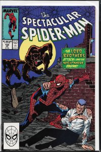 The Spectacular Spider-Man #152 (1989) Spider-Man