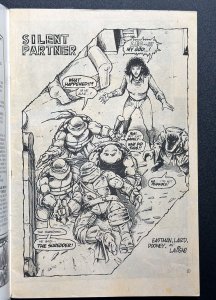 Teenage Mutant Ninja Turtles #10 (1987) 3rd App Shredder - VF