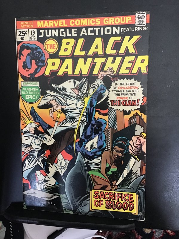 Jungle Action #19 (1976) KKK vs. Black panther high-grade key! VF/NM Wow