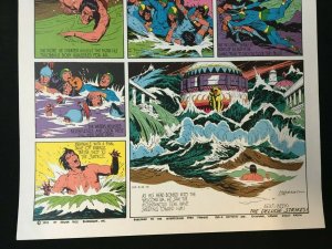 E R BURROUGHS TARZAN SUNDAY COMIC STRIP PAGE REP 20 x 15 POSTER HOGARTH ART