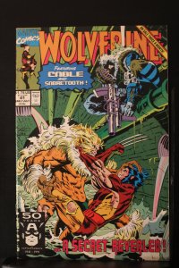 Wolverine #41 (1991) High-Grade NM- or better! Sabretooth vs. Cable Wow!