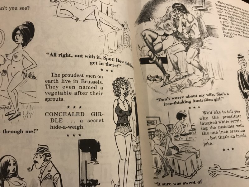 SEX TO SEXY #71 : SRI 1975 VG; Adult Cartoons & Jokes; Bill Ward, Pierre Davis