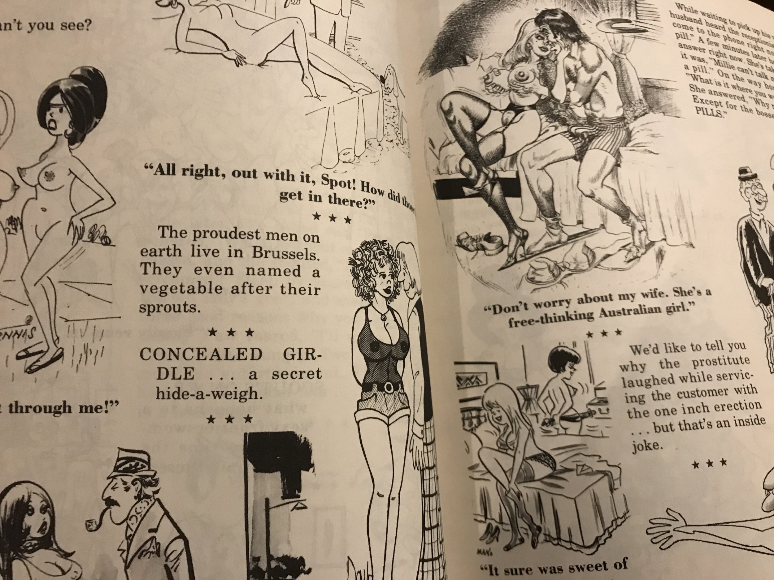 SEX TO SEXY #71 SRI 1975 VG; Adult Cartoons and Jokes; Bill Ward, Pierre Davis Comic Collectibles photo
