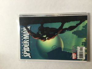 The Amazing Spider-Man #521 (2005)