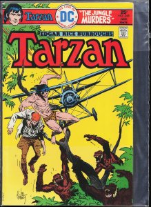 Edgar Rice Burroughs' Tarzan #245 (1976)