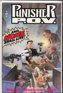 The Punisher: P.O.V. #1 (1991) Punisher