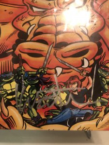 Teenage Mutant Ninja Turtles Adventures #28 (1992) signed by Kevin Eastman