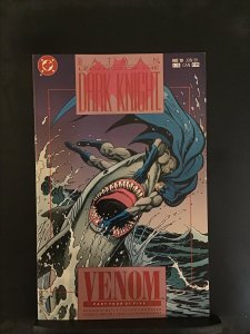 Batman: Legends of The Dark Knight #19